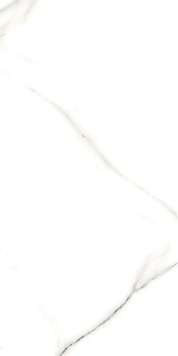 Glossy Finish Vanato Bianco PGVT 600x1200mm