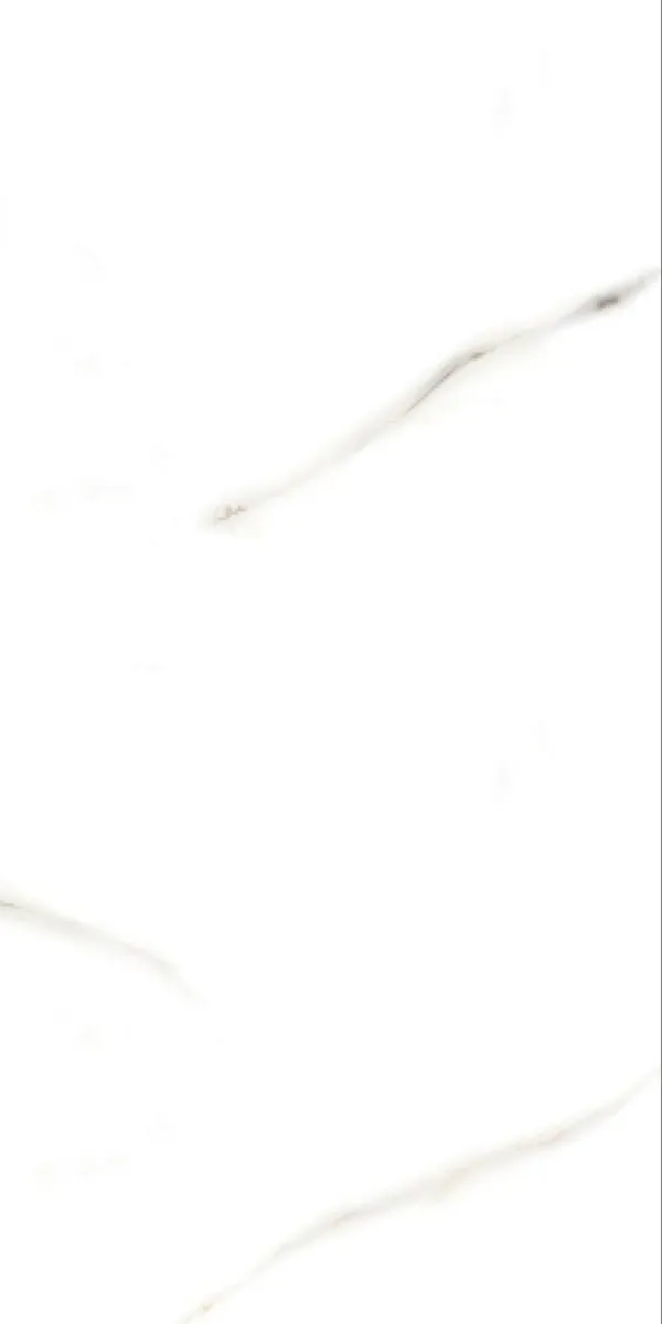 Glossy Finish Vanato Bianco PGVT 600x1200mm