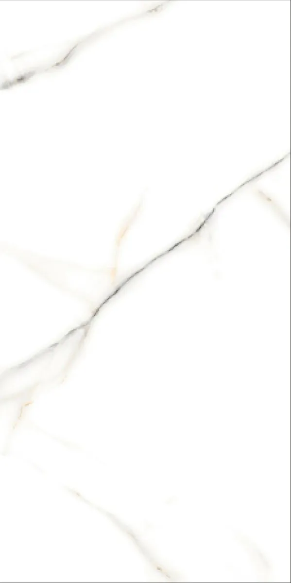 Glossy Finish Vanato Bianco PGVT 600x1200mm