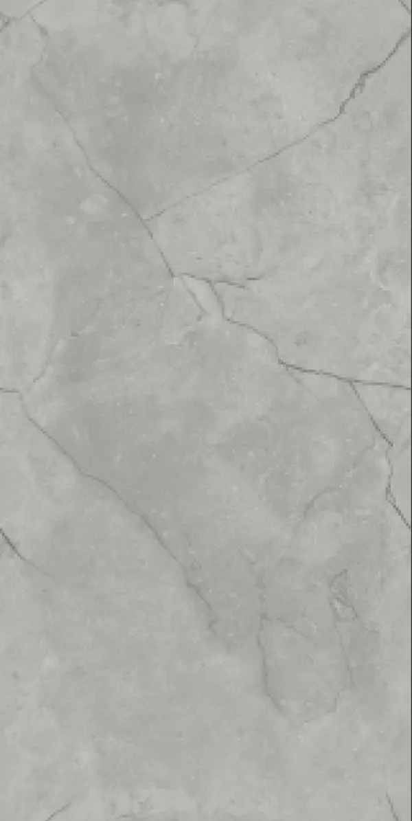 Glossy Finish Vizon Grey  PGVT 600x1200mm