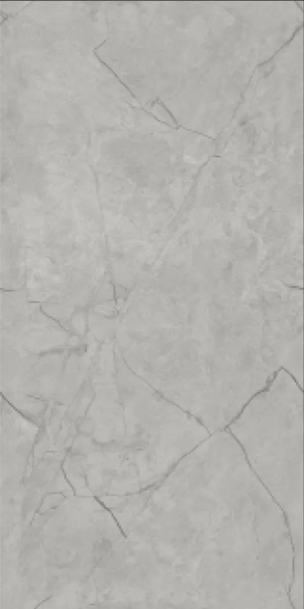 Glossy Finish Vizon Grey  PGVT 600x1200mm