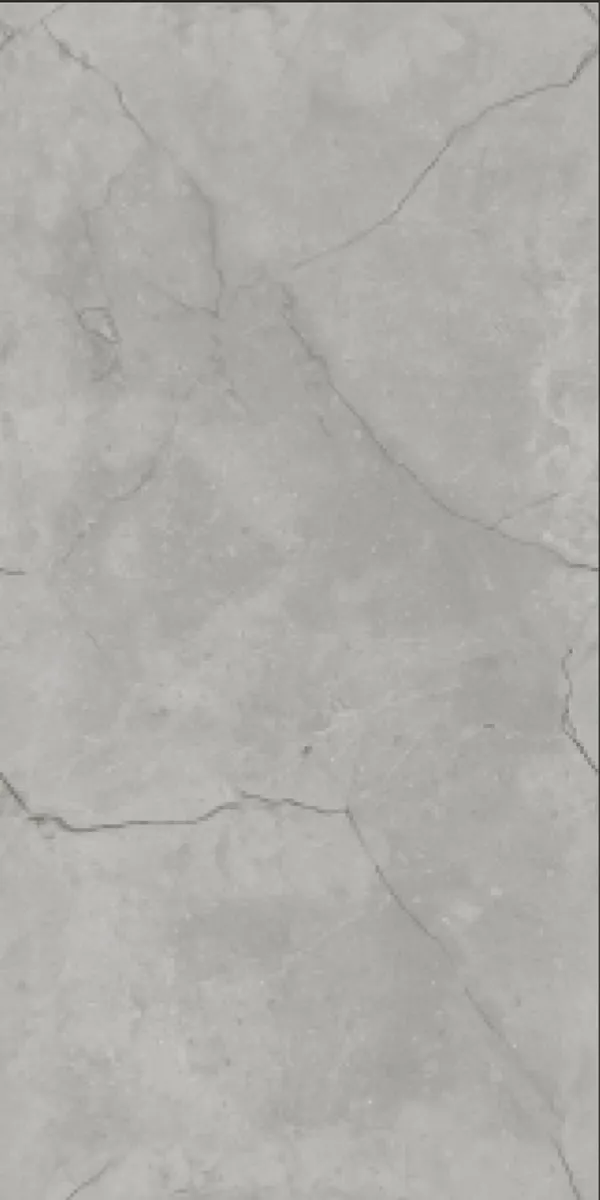 Glossy Finish Vizon Grey  PGVT 600x1200mm