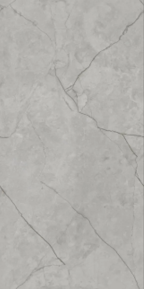 Glossy Finish Vizon Grey  PGVT 600x1200mm