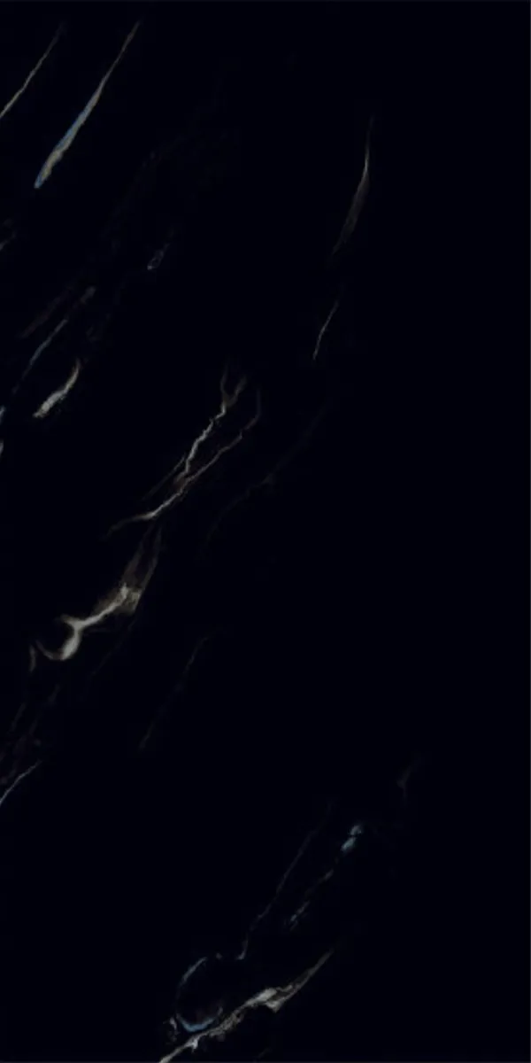 Super Highglossy Finish WAVE MULTY BLACK PGVT 600x1200mm