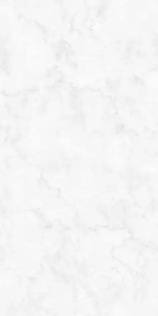 Glossy Finish PHONIX LIGHT 600x1200mm