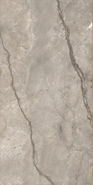 Glossy Finish Wild Forest Grey  600x1200mm