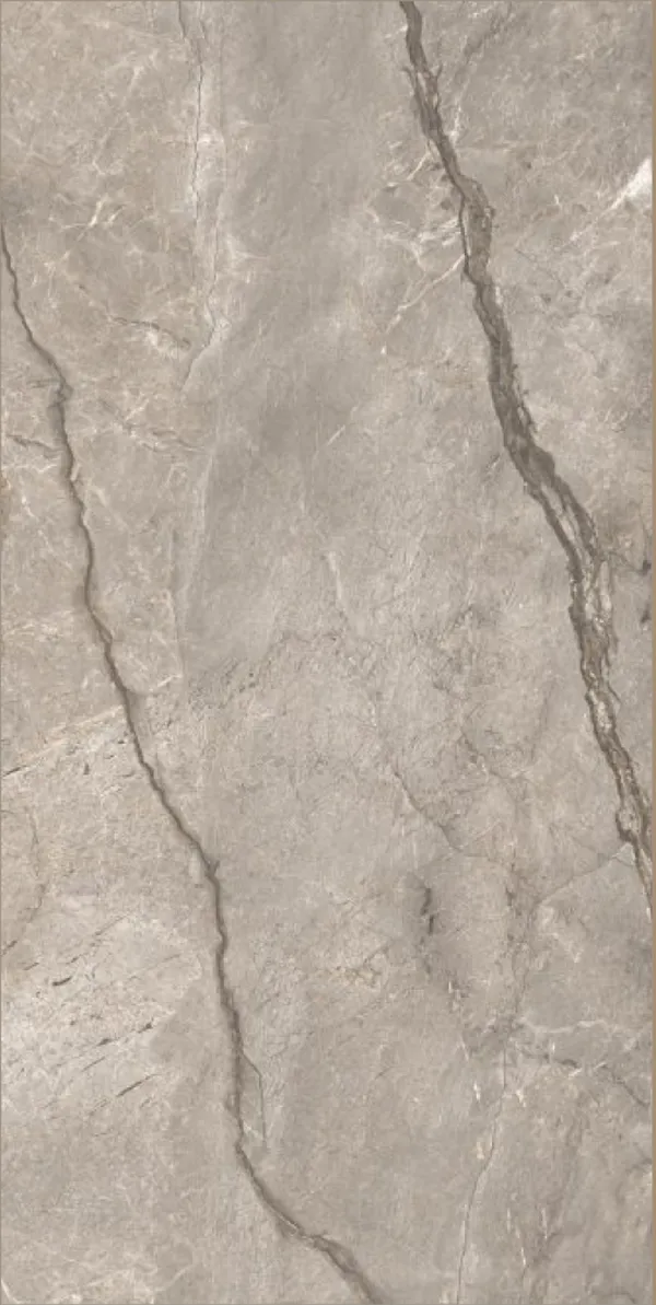 Glossy Finish Wild Forest Grey  PGVT 600x1200mm