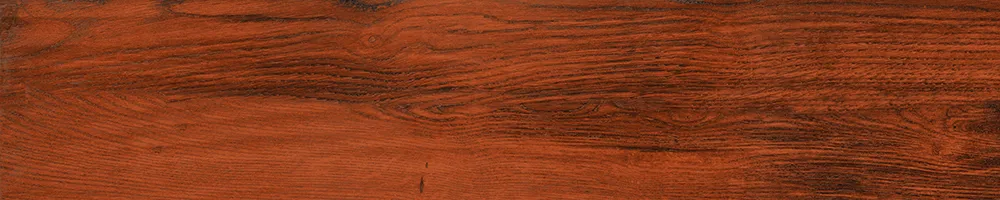 Matte Finish 10002 Porcelain 200x1000mm