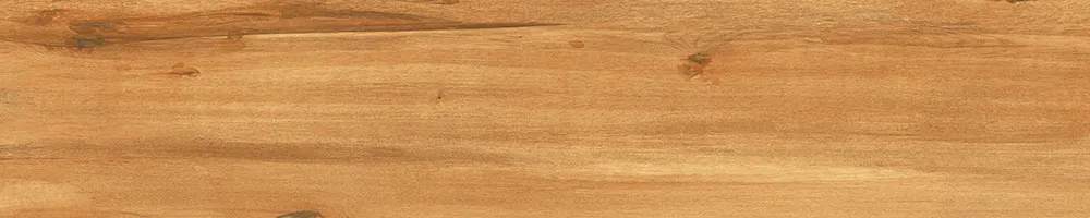 Matte Finish 10003 Porcelain 200x1000mm