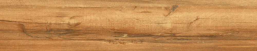 Matte Finish 10003 Porcelain 200x1000mm