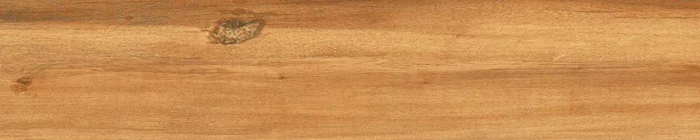 Matte Finish 10003 Porcelain 200x1000mm