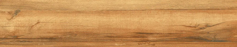 Matte Finish 10003 Porcelain 200x1000mm