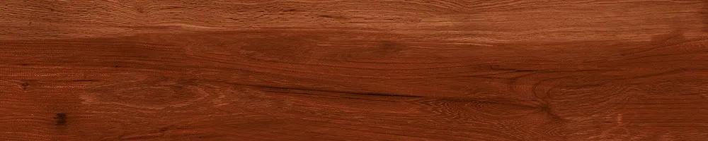 Matte Finish 10004 Porcelain 200x1000mm