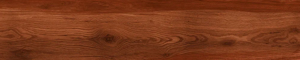 Matte Finish 10004 Porcelain 200x1000mm