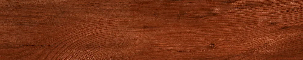 Matte Finish 10004 Porcelain 200x1000mm