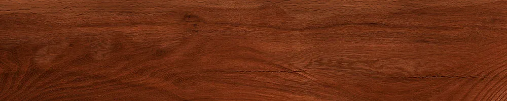 Matte Finish 10004 Porcelain 200x1000mm