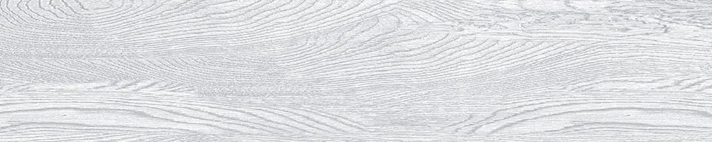 Matte Finish 10005 Porcelain 200x1000mm