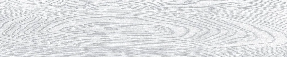 Matte Finish 10005 Porcelain 200x1000mm