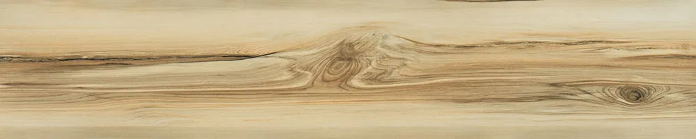 Matte Finish 10008 Porcelain 200x1000mm