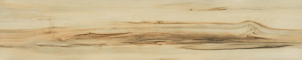 Matte Finish 10008 Porcelain 200x1000mm