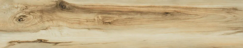 Matte Finish 10008 Porcelain 200x1000mm