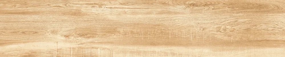 Matte Finish 10009 Porcelain 200x1000mm