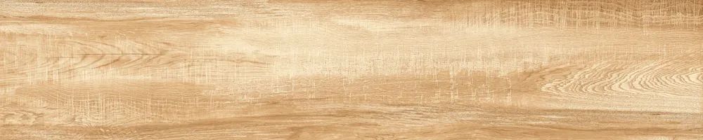 Matte Finish 10009 Porcelain 200x1000mm