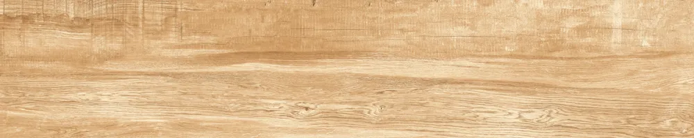 Matte Finish 10009 Porcelain 200x1000mm