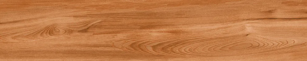 Matte Finish 10010 Porcelain 200x1000mm