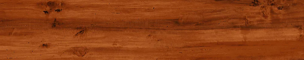 Matte Finish 10011 Porcelain 200x1000mm