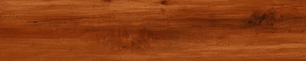 Matte Finish 10011 Porcelain 200x1000mm