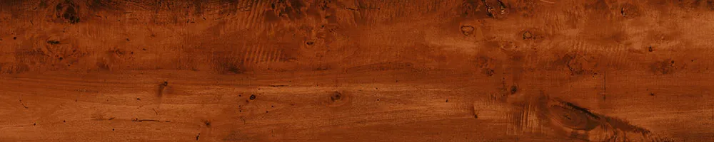 Matte Finish 10011 Porcelain 200x1000mm