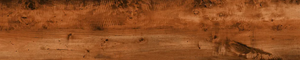 Matte Finish 10012 Porcelain 200x1000mm