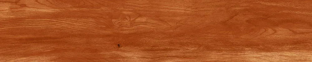 Matte Finish 10013 Porcelain 200x1000mm