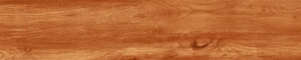 Matte Finish 10013 Porcelain 200x1000mm