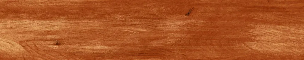 Matte Finish 10013 Porcelain 200x1000mm