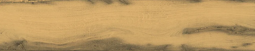 Matte Finish 10020 Porcelain 200x1000mm