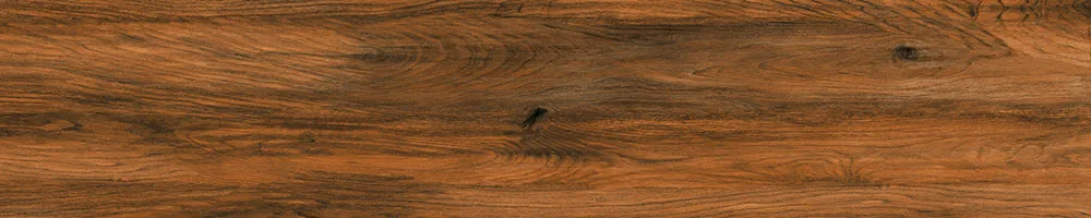 Matte Finish 10022 Porcelain 200x1000mm