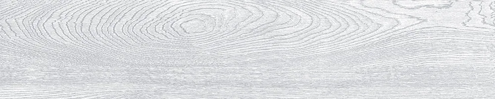 Matte Finish 10005 Porcelain 200x1000mm
