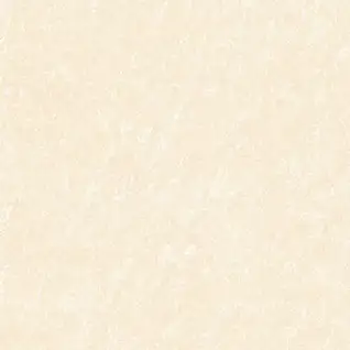Sugar Finish 17002 600x600mm