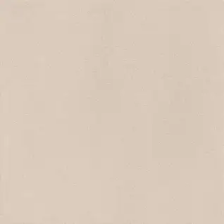 Matte Finish 10009 LT 400x400mm