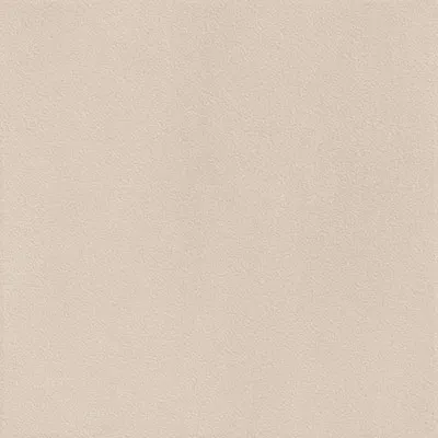 Matte Finish 10009 LT Porcelain 400x400mm