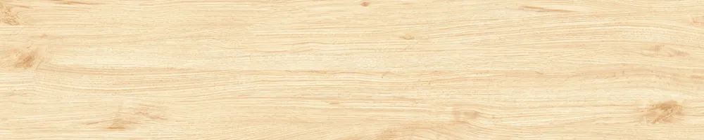 Matte Finish Clean Slate Porcelain 200x1000mm