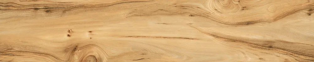 Matte Finish Biscuit Porcelain 200x1000mm