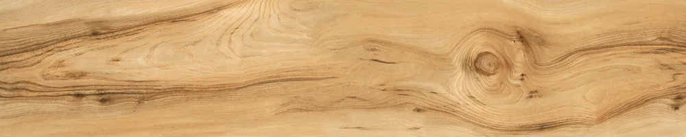 Matte Finish Biscuit Porcelain 200x1000mm