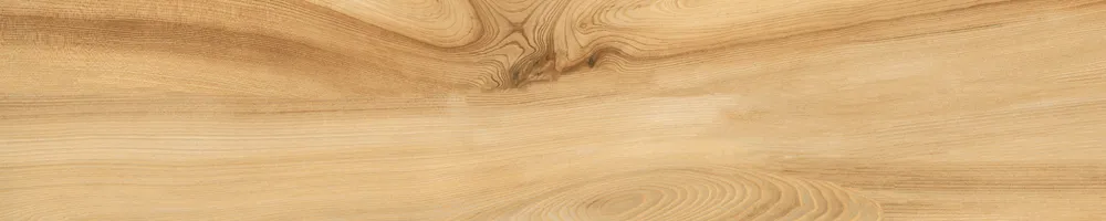 Matte Finish Biscuit Porcelain 200x1000mm