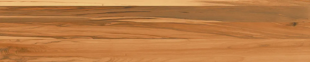 Matte Finish Cedartone 1 Porcelain 200x1000mm