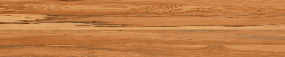 Matte Finish Cedartone 1 Porcelain 200x1000mm