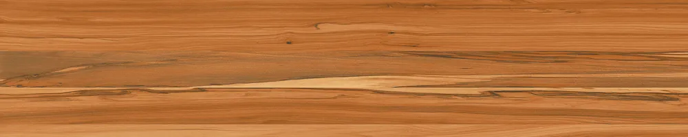 Matte Finish Cedartone 1 Porcelain 200x1000mm