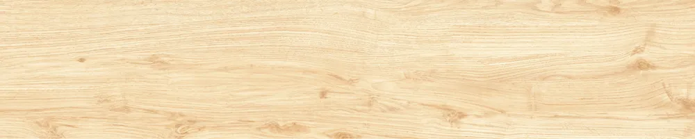 Matte Finish Clean Slate Porcelain 200x1000mm